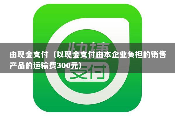 由现金支付(以现金支付由本企业负担的销售产品的运输费300元)