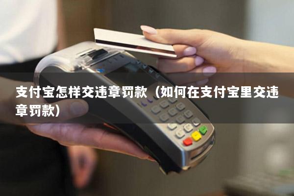 支付宝怎样交违章罚款(如何在支付宝里交违章罚款)