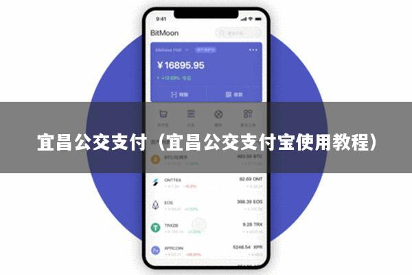 宜昌公交支付(宜昌公交支付宝使用教程)