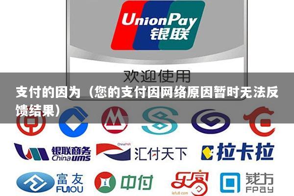 支付的因为(您的支付因网络原因暂时无法反馈结果)