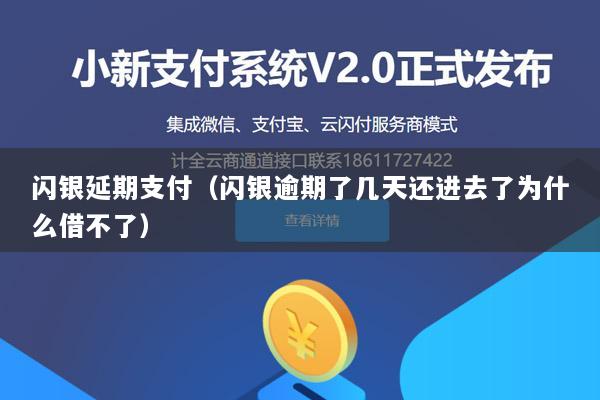 闪银延期支付(闪银逾期了几天还进去了为什么借不了)