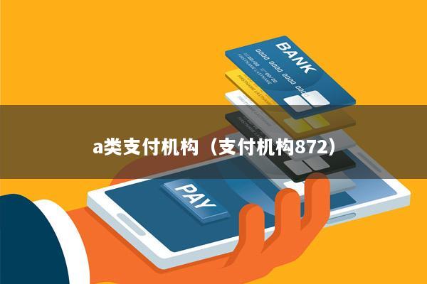 a类支付机构(支付机构872)