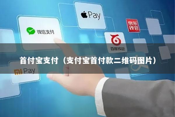首付宝支付(支付宝首付款二维码图片)