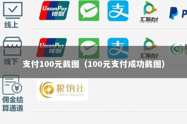 支付100元截图(100元支付成功截图)