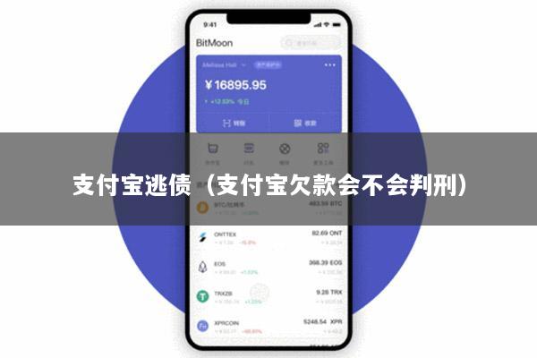 支付宝逃债(支付宝欠款会不会判刑)