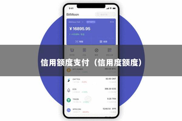 信用额度支付(信用度额度)