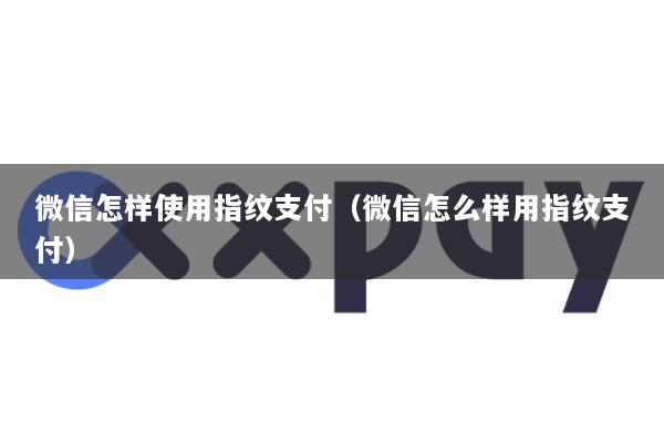 微信怎样使用指纹支付(微信怎么样用指纹支付)