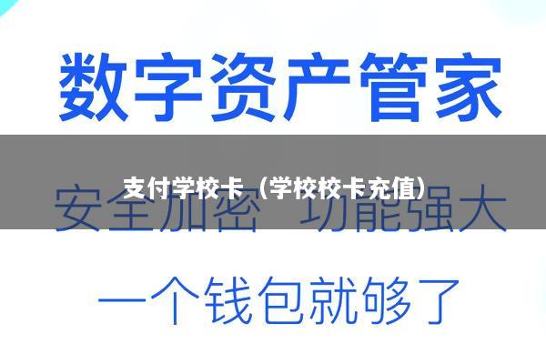 支付学校卡(学校校卡充值)