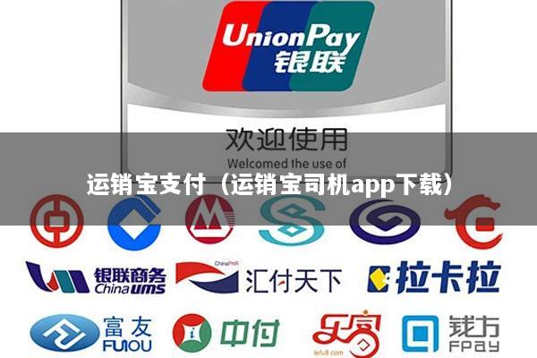 运销宝支付(运销宝司机app下载)