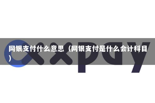 网银支付什么意思(网银支付是什么会计科目)