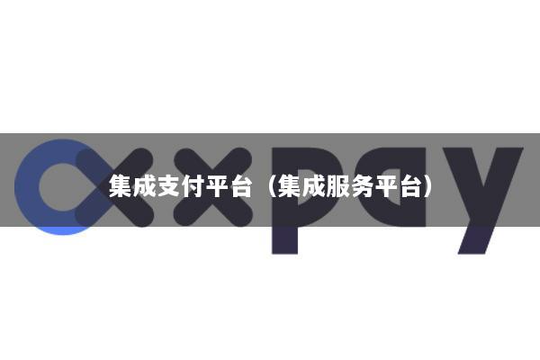 集成支付平台(集成服务平台)
