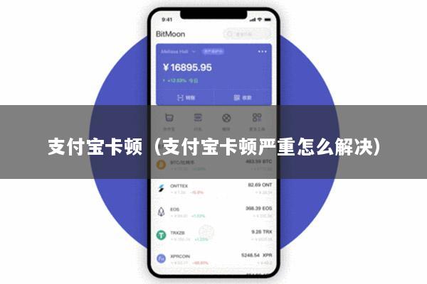 支付宝卡顿(支付宝卡顿严重怎么解决)