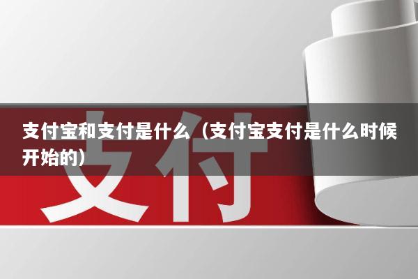 支付宝和支付是什么(支付宝支付是什么时候开始的)