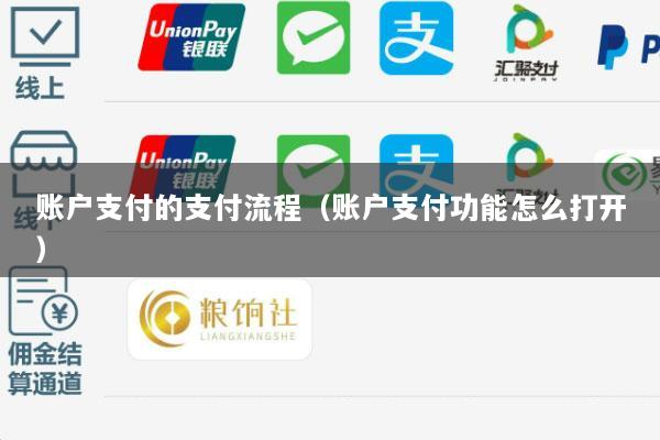 账户支付的支付流程(账户支付功能怎么打开)