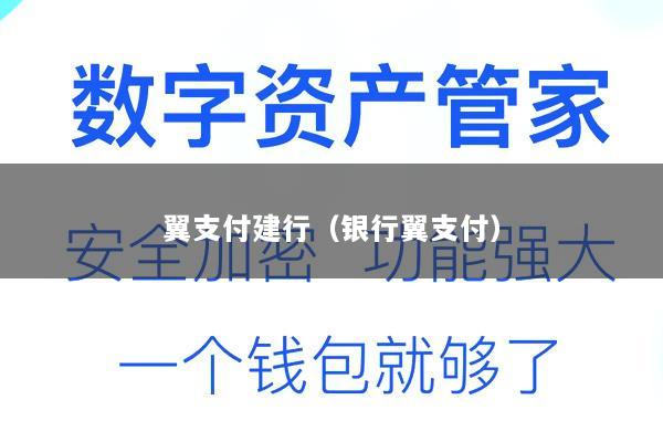 翼支付建行(银行翼支付)