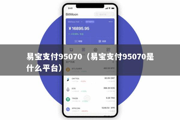 易宝支付95070(易宝支付95070是什么平台)