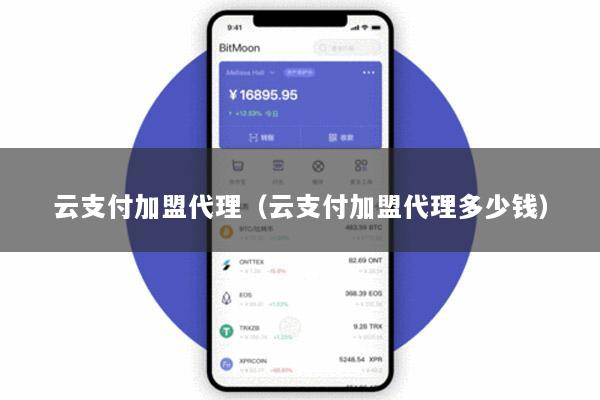云支付加盟代理(云支付加盟代理多少钱)