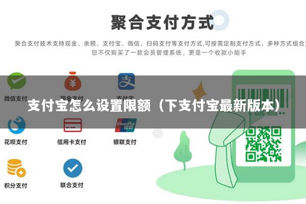 支付宝怎么设置限额(下支付宝最新版本)