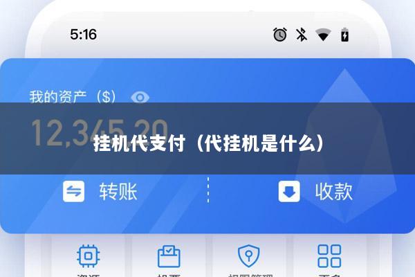挂机代支付(代挂机是什么)
