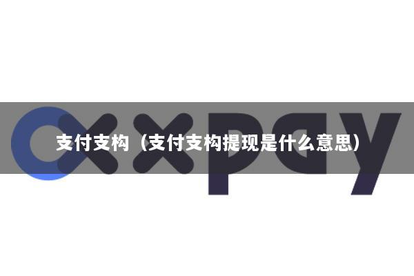 支付支构(支付支构提现是什么意思)