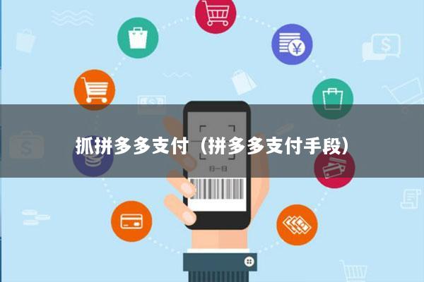 抓拼多多支付(拼多多支付手段)