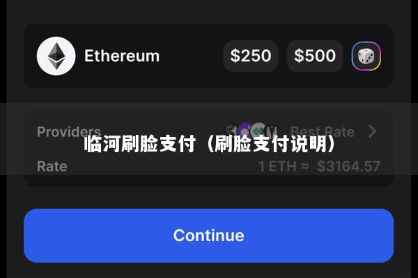 临河刷脸支付(刷脸支付说明)