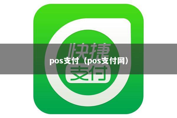 pos支付(pos支付网)