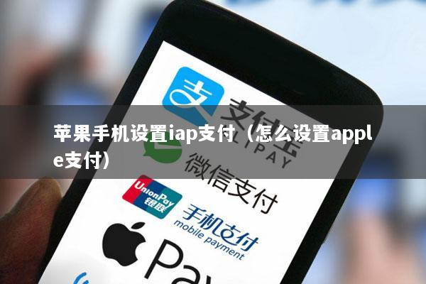 苹果手机设置iap支付(怎么设置apple支付)