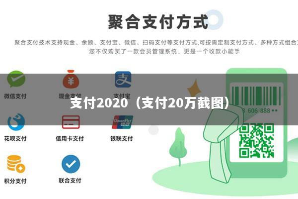 支付2020(支付20万截图)