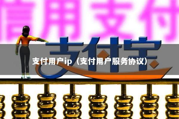 支付用户ip(支付用户服务协议)