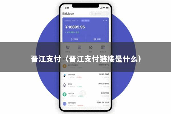 晋江支付（晋江支付链接是什么）