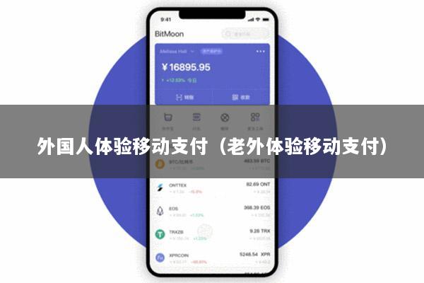 外国人体验移动支付（老外体验移动支付）